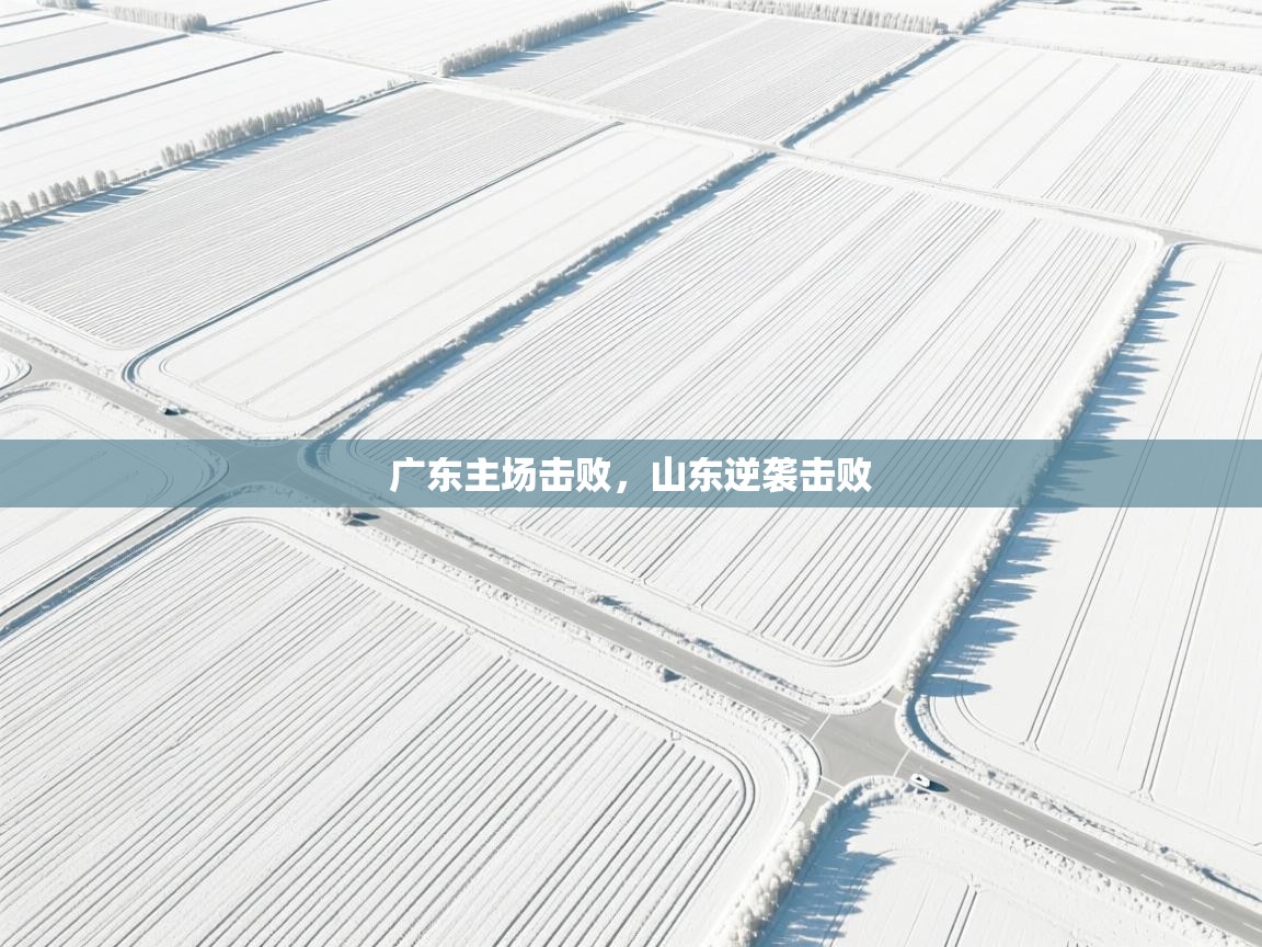 广东主场击败，山东逆袭击败  第1张