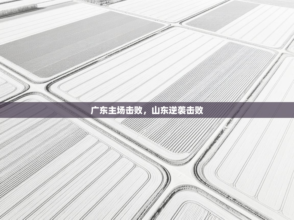 广东主场击败，山东逆袭击败  第2张